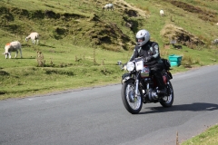 Eskdale 2014 189