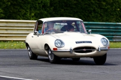 4/5/2014 Jaguar Drivers Club Track Day at Croft. EOS 1 Dx + 400mm. Track parade at lunchtime so out of sequence. From Hairpin area.